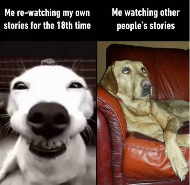 Funny Picdump Funny Picdump