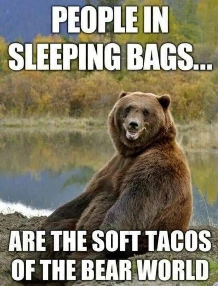Funny Picdump Funny Picdump
