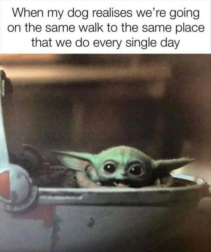 Funny Picdump Funny Picdump