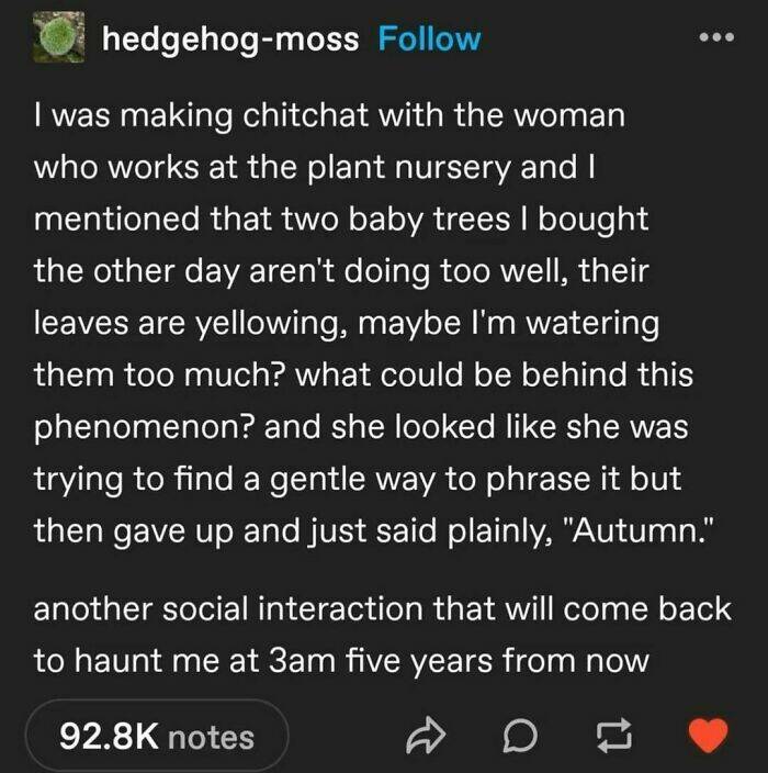 When Dumpest Posts Turned Into Comedy Gold