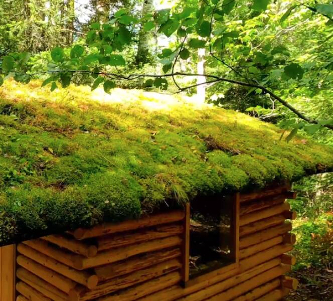 Wilderness Temptations: Bushcraft Images Calling To Nature Lovers