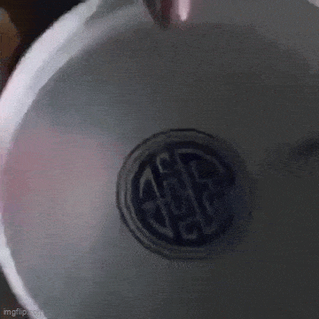 Daily Gifdump