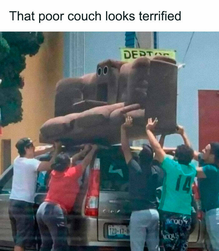 Comic Chaos: Embracing The Funny Side Of Being Completely Wrong