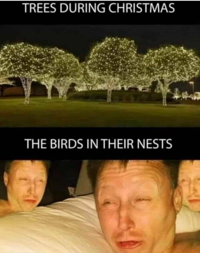 Comic Chaos: Embracing The Funny Side Of Being Completely Wrong