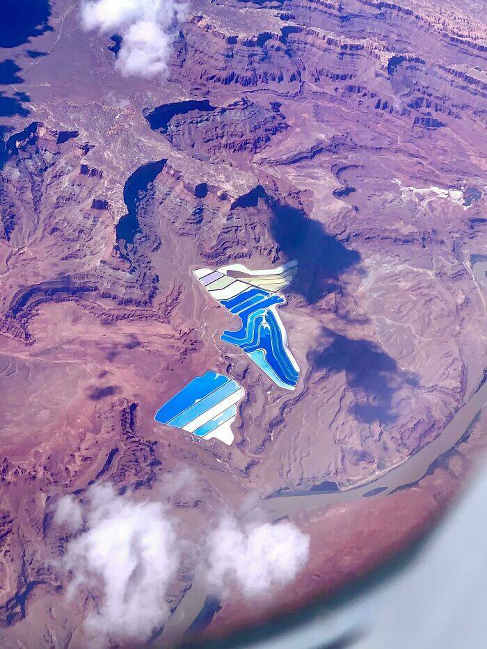 Internet Mystery Box: Odd Finds Seeking Online Identification