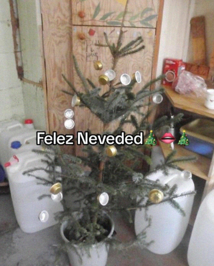 Festive Fails: When Christmas Decorations Went Awry