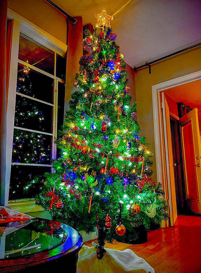Creative Festive Genius: Applause-Worthy Christmas Tree Innovations