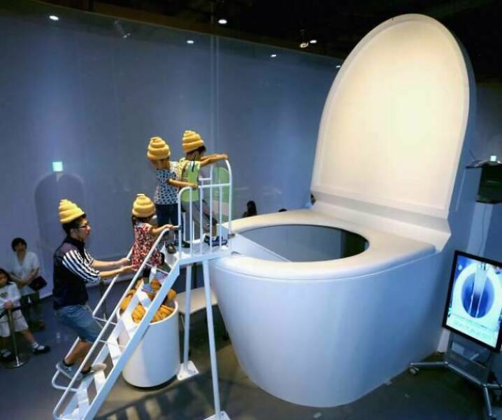 Quirky Thrones: Toilets That Defy Expectations