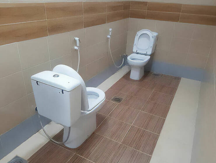 Quirky Thrones: Toilets That Defy Expectations