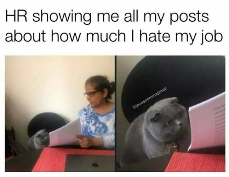 Office Woes And Chuckles: Relatable Work Memes For Survival