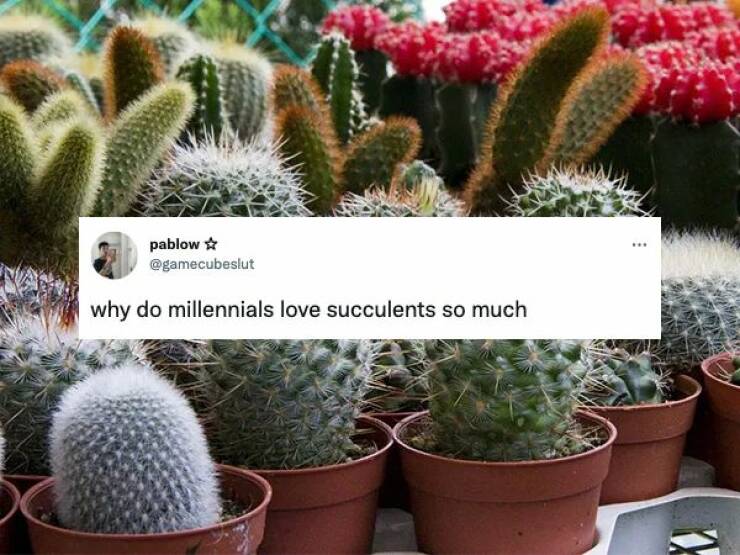 Self-Deprecation 101: Joining The Laughter As Millennials Get Roasted