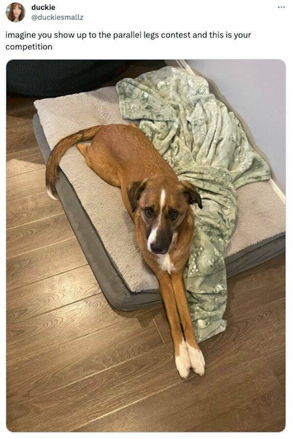 Tweeting With Humor: Top Picks Of The Week Tweeting With Humor: Top Picks Of The Week