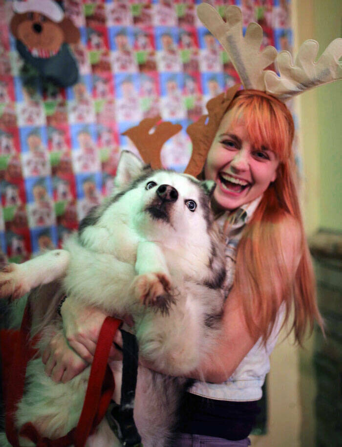 Paws And Claus: Pets Adorable Yet Deviously Festive Antics