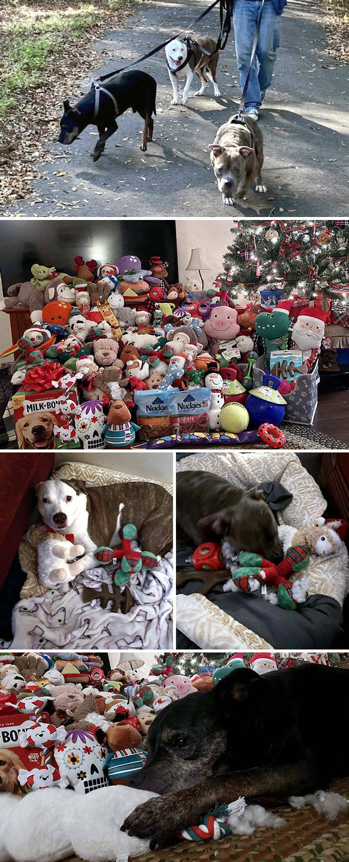 Unbeatable Christmas Cheer Posts That Define True Wholesomeness (45