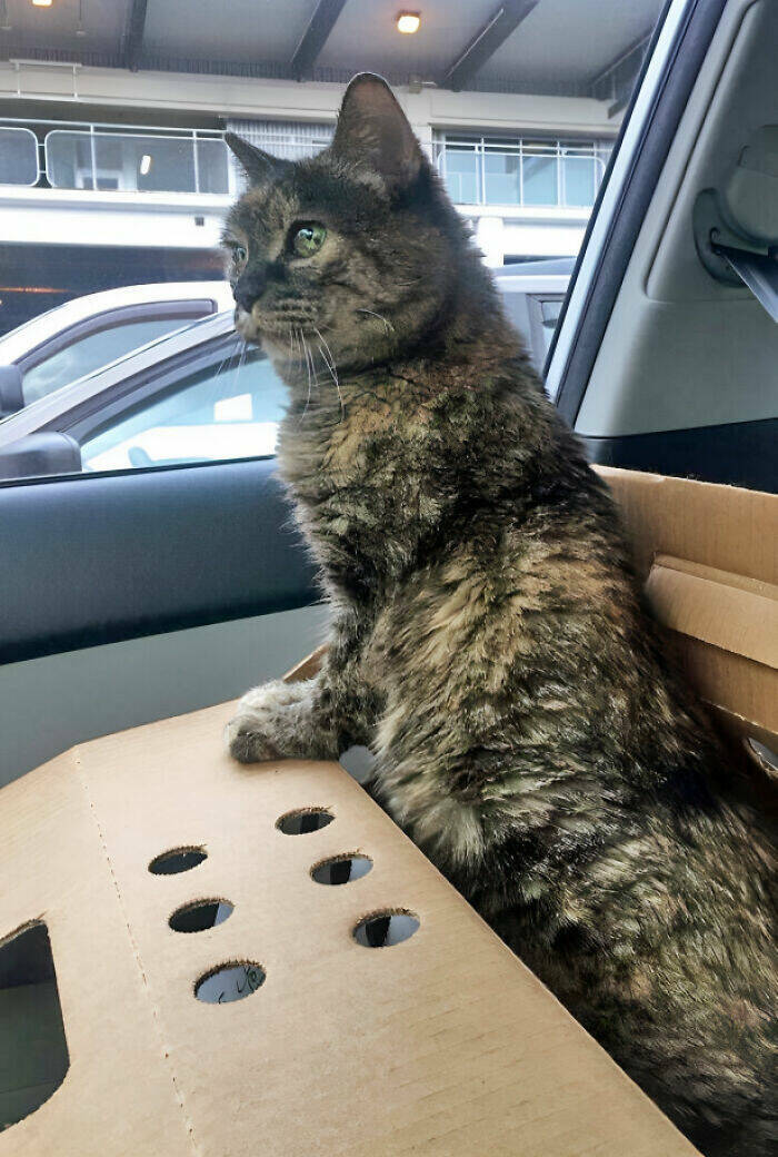 Unbeatable Christmas Cheer: Posts That Define True Wholesomeness