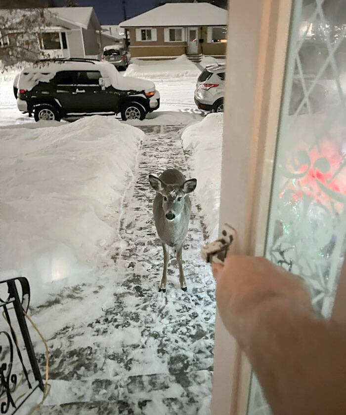 Unbeatable Christmas Cheer Posts That Define True Wholesomeness (45