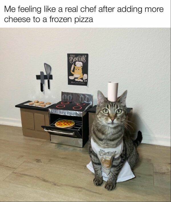 Memes That Hit The Spot: Deliciously Tasty Humor Memes That Hit The Spot: Deliciously Tasty Humor