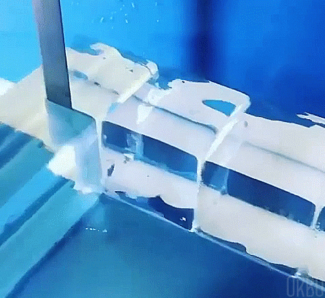 Captivating GIFs That Mesmerize