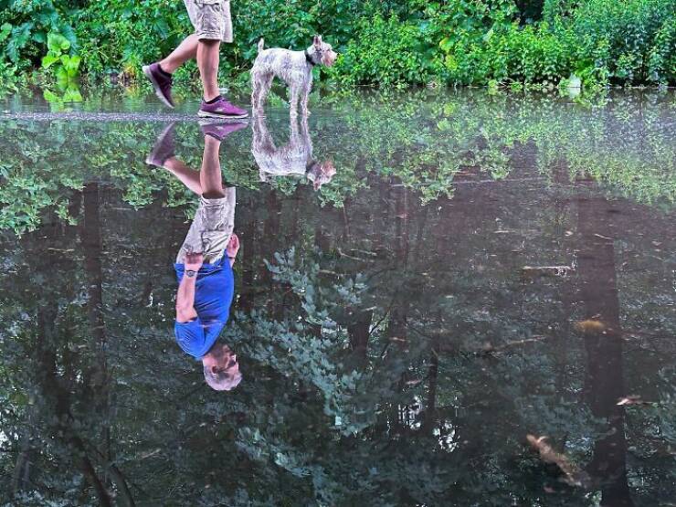 Perfectly Timed Photos: Accidental Comedy Captured
