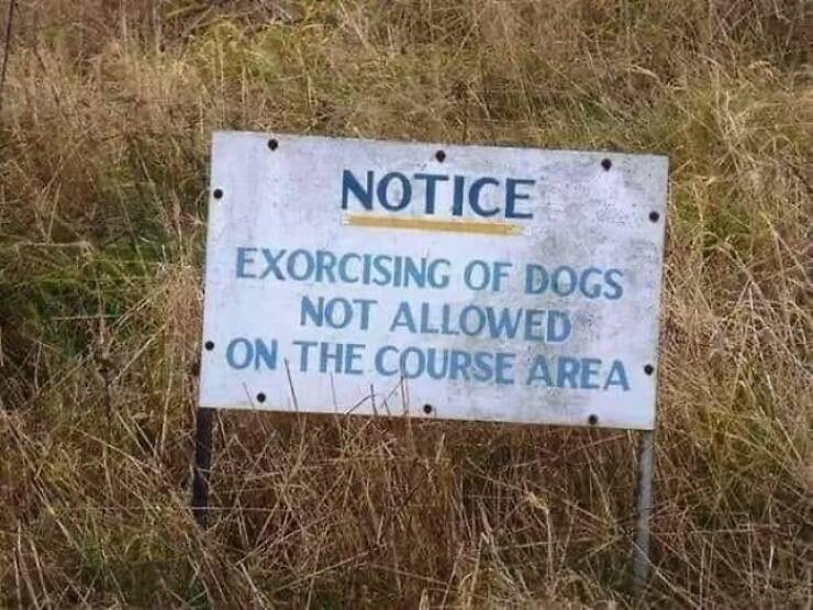 Laugh Out Loud Notices: Ridiculously Funny Signs