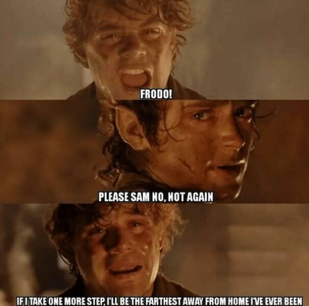 LOTR Meme Magic: Finding Delight In The Fellowship Of Funnies