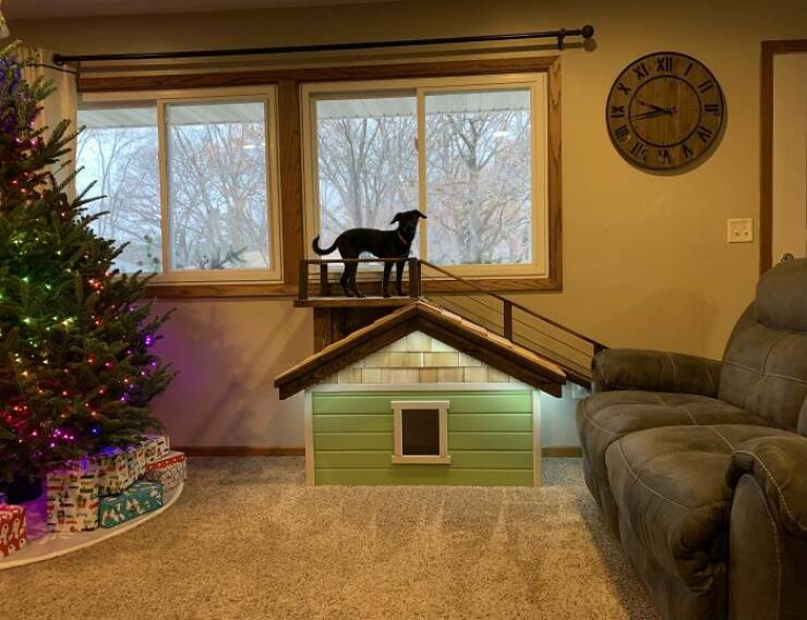 Doggy Dream Homes: Owners Going Above And Beyond On House Design