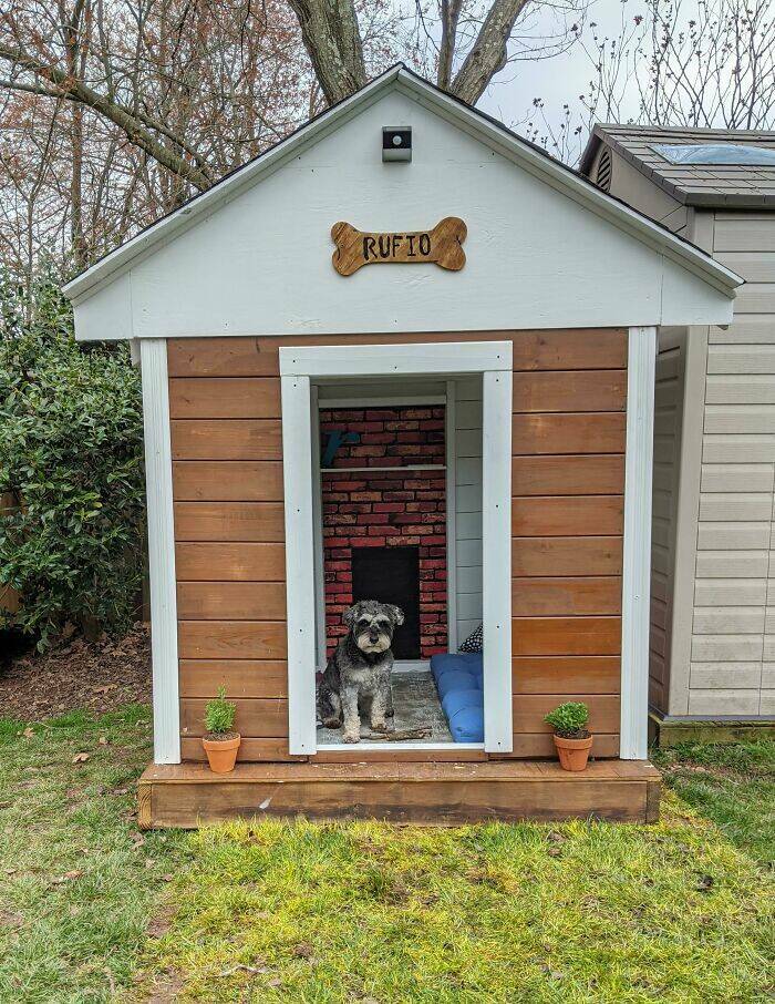 Doggy Dream Homes: Owners Going Above And Beyond On House Design