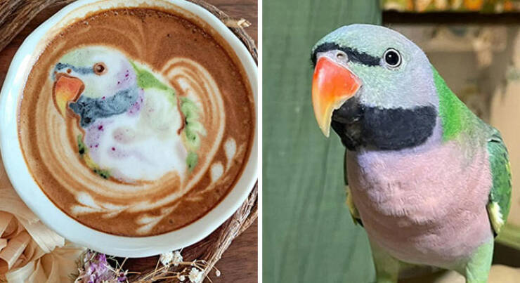 Latte Artistry Extravaganza: Stunning 3D Coffee Creations