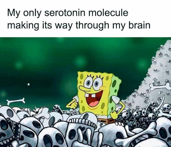 Serotonin Saviors: Memes To Lift Your Spirits And Trigger Smiles