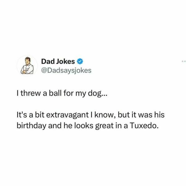 Dad Jokes Unleashed: A Collection Of The Wittiest Zingers