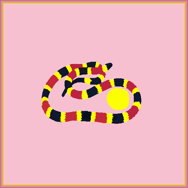 Snake Savvy: Essential Facts For Americans Coexisting With Venomous Serpents