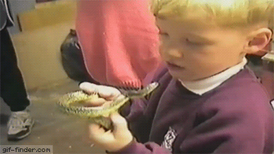 Snake Savvy: Essential Facts For Americans Coexisting With Venomous Serpents
