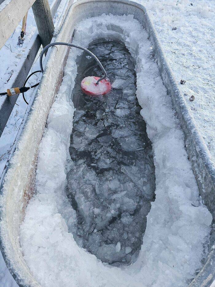 Freezing Over: Canadians Share Chilly Snapshots Of Winter