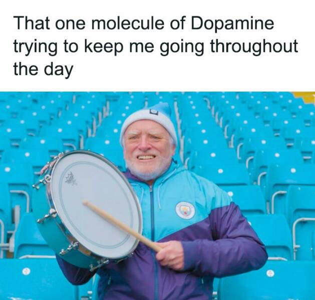 Mind Matters: Memes That Navigate The Landscape Of Anxiety Mind Matters: Memes That Navigate The Landscape Of Anxiety