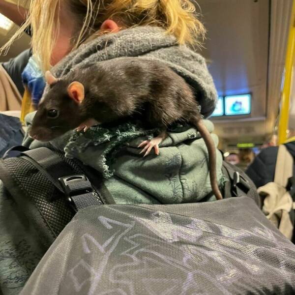 Mind-Bending Metro: Scenes On The Berlin Subway That Stumped Viewers