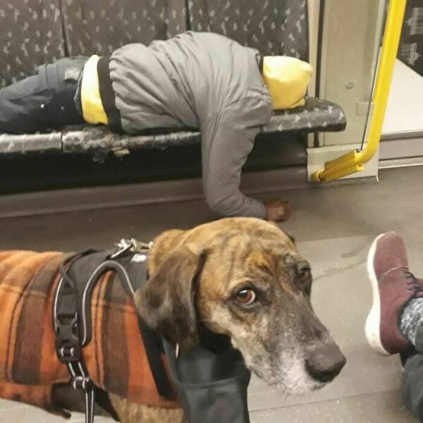 Mind-Bending Metro: Scenes On The Berlin Subway That Stumped Viewers Mind-Bending Metro: Scenes On The Berlin Subway That Stumped Viewers