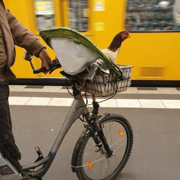 Mind-Bending Metro: Scenes On The Berlin Subway That Stumped Viewers Mind-Bending Metro: Scenes On The Berlin Subway That Stumped Viewers