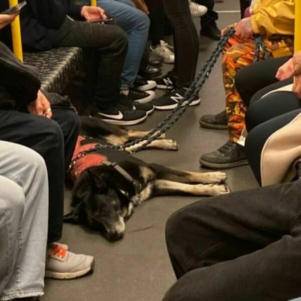 Mind-Bending Metro: Scenes On The Berlin Subway That Stumped Viewers Mind-Bending Metro: Scenes On The Berlin Subway That Stumped Viewers