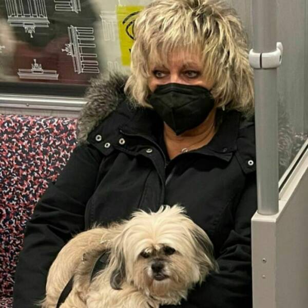 Mind-Bending Metro: Scenes On The Berlin Subway That Stumped Viewers Mind-Bending Metro: Scenes On The Berlin Subway That Stumped Viewers