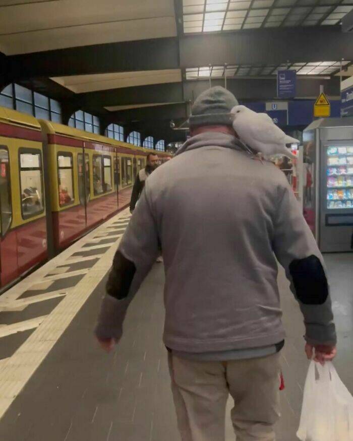 Mind-Bending Metro: Scenes On The Berlin Subway That Stumped Viewers