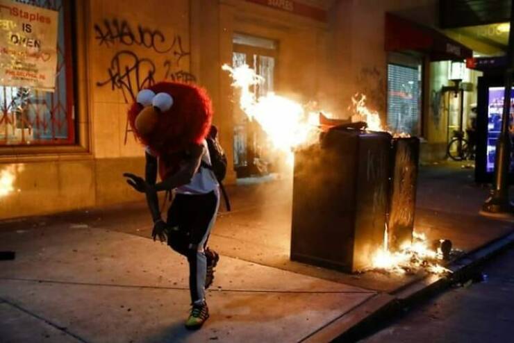 Quirks Unleashed: Odd Human Moments From Humans Doing Human Things