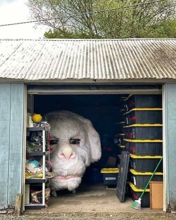 Creep Factor Captured: Images That Haunt The Imagination