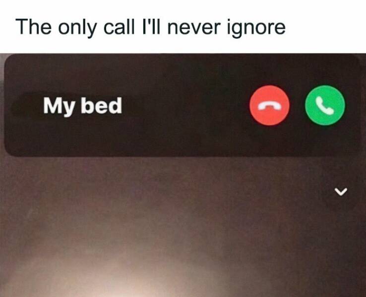 Introvert Humor: Memes That Speak The Language Of The Quiet