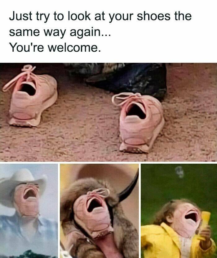 Introvert Humor: Memes That Speak The Language Of The Quiet