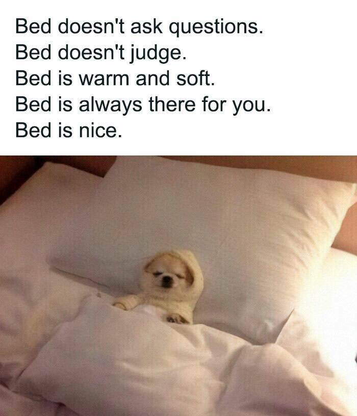Introvert Humor: Memes That Speak The Language Of The Quiet