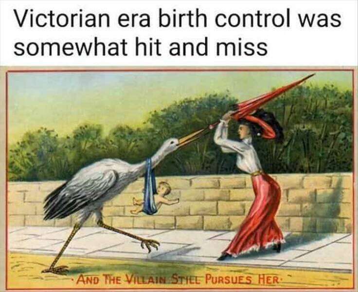 Funny Picdump