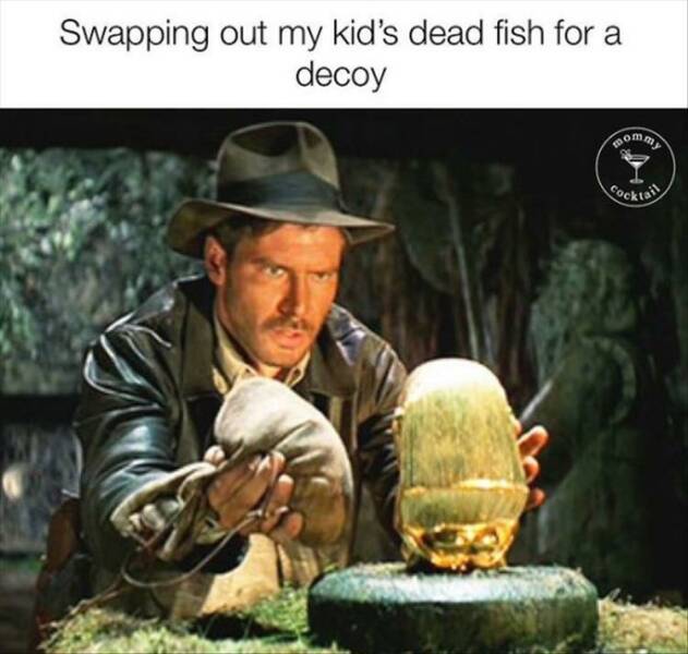 Funny Picdump