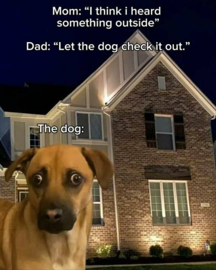 Funny Picdump