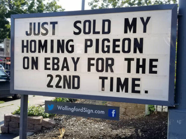 Signs Of Hilarity: People Sharing The Funniest Finds