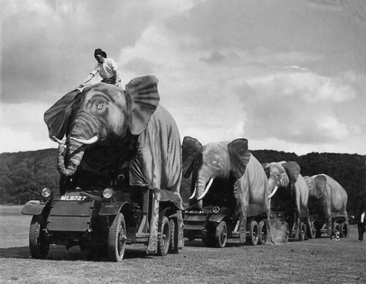 Historical Treasures: Unseen And Utterly Unique Pictures Of The Past